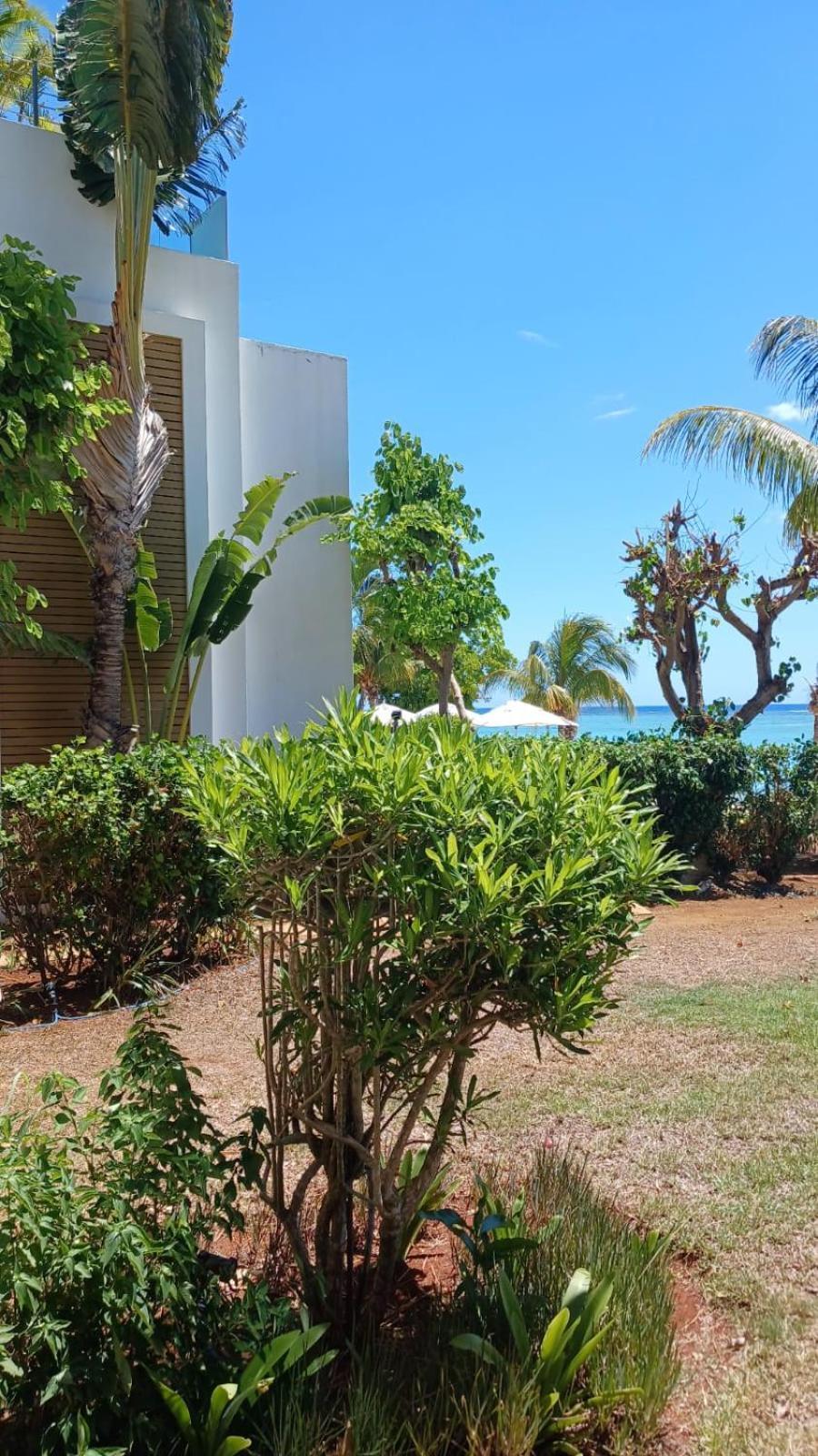 Cap Ouest Luxury Beachfront Flic-en-Flacq Eksteriør bilde